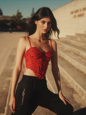 Vlada Smahina