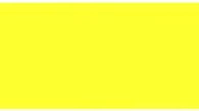 Sweet amateur girl shows her naked body