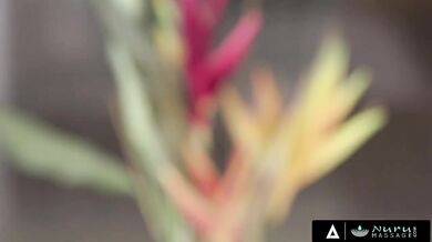 NURU MASSAGE - The hottest compilation of Latina masseuses!